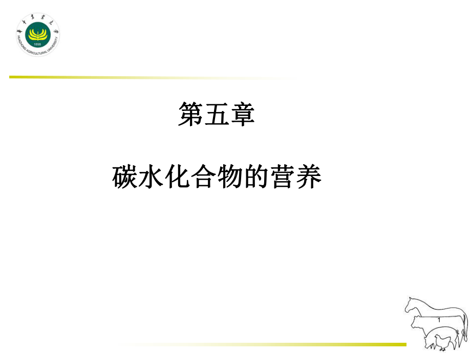 碳水化合物营养-ppt课件.ppt_第1页