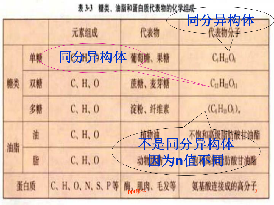 基本营养物质(必修2)-ppt课件.ppt_第3页