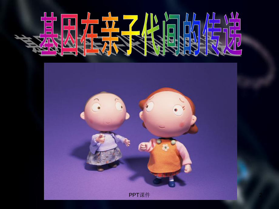 第二节-基因在亲子代间的传递-ppt课件.ppt_第2页