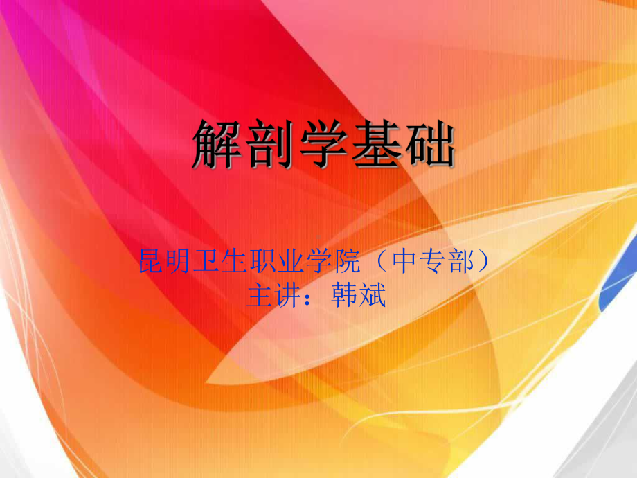 解剖学基础绪论课件.ppt_第1页