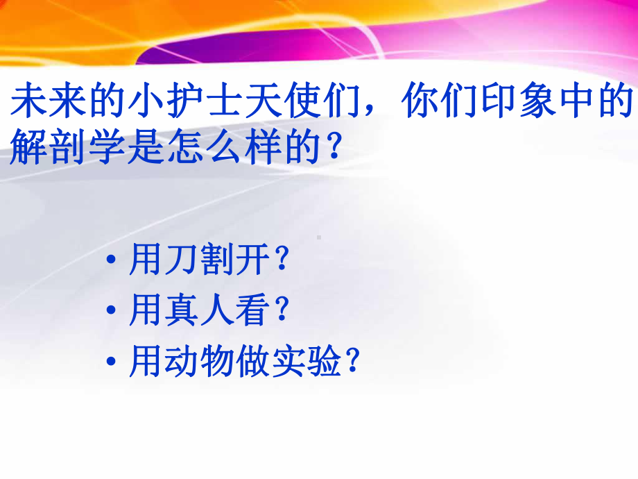 解剖学基础绪论课件.ppt_第2页