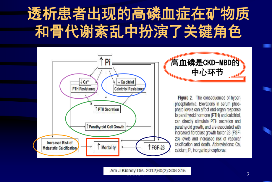 从指南看不含钙磷结合剂的应用-ppt课件.ppt_第3页