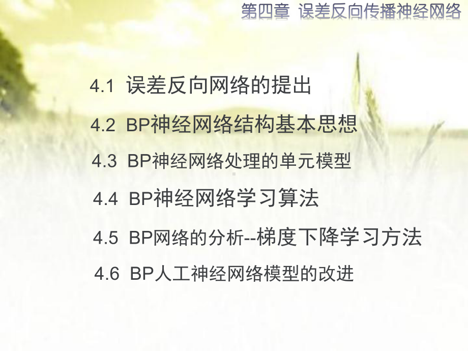 误差反向传播神经网络-PPT课件.ppt_第2页