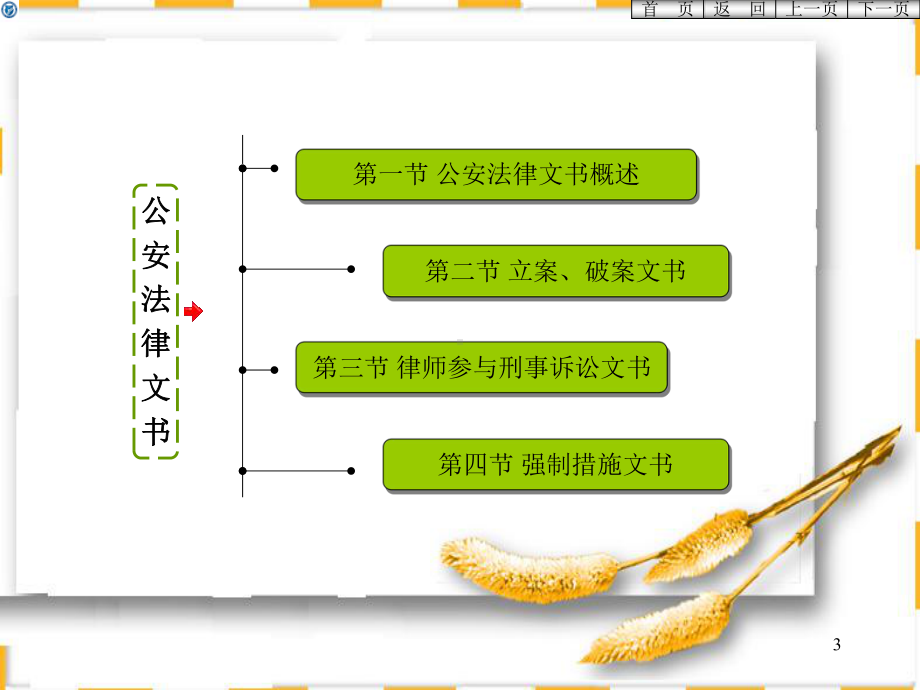 基层常用刑事案件法律文书制作教学课件.ppt_第3页