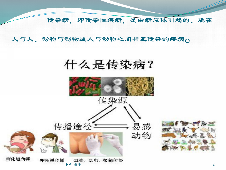 夏季传染病预防-幼儿篇-ppt课件.ppt_第2页