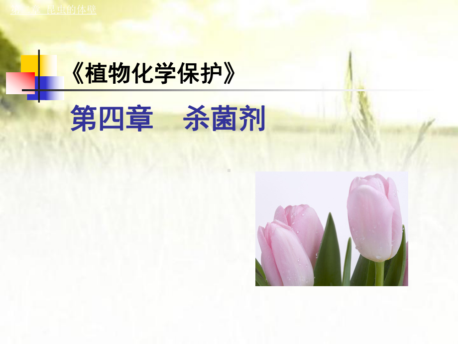 杀菌剂-PPT课件.ppt_第1页