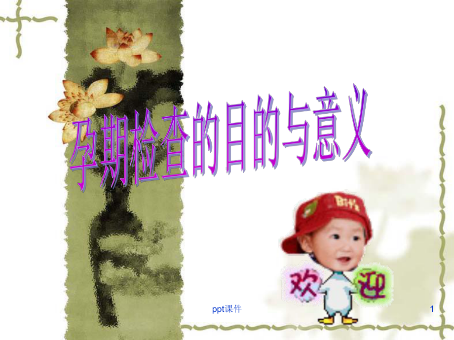 孕期检查的目的与意义-ppt课件.ppt_第1页