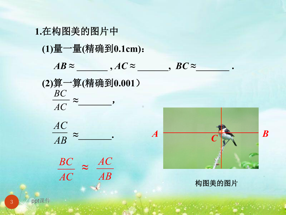 黄金分割与数学-ppt课件.ppt_第3页