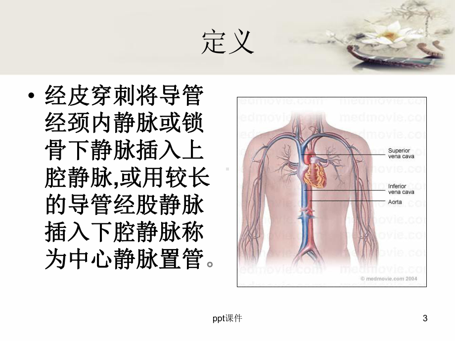 中心静脉置管维护及使用-ppt课件.ppt_第3页