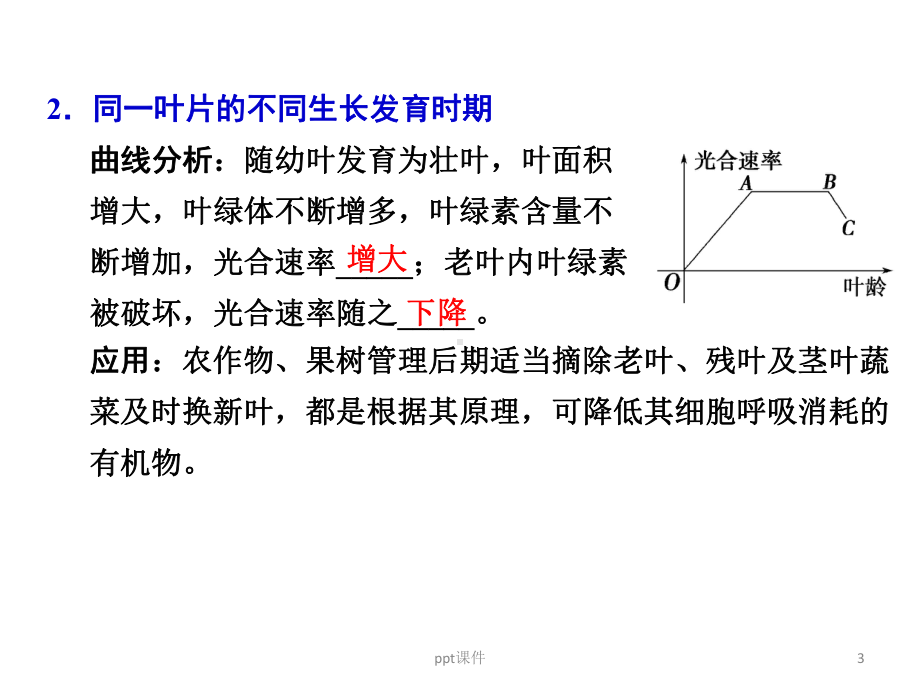 影响光合作用的因素-ppt课件.ppt_第3页