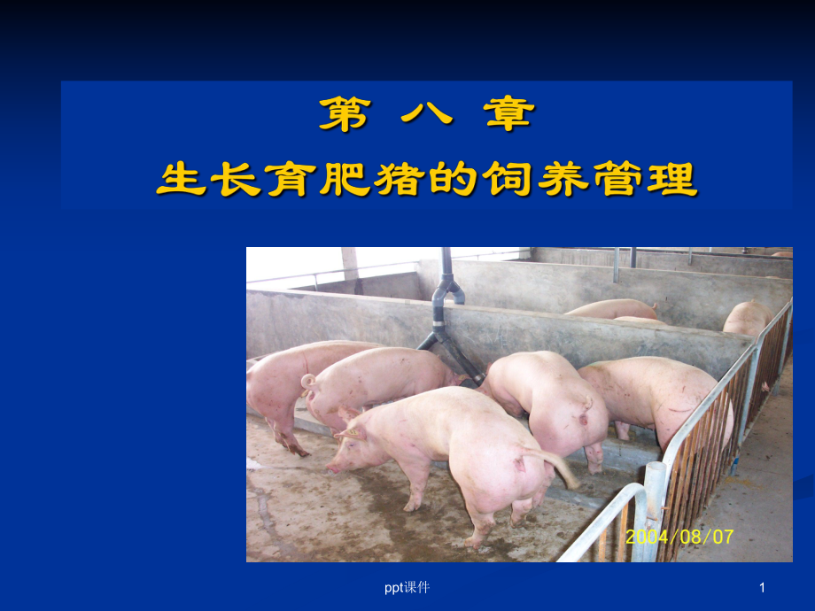 生长育肥猪的饲养管理-ppt课件.ppt_第1页