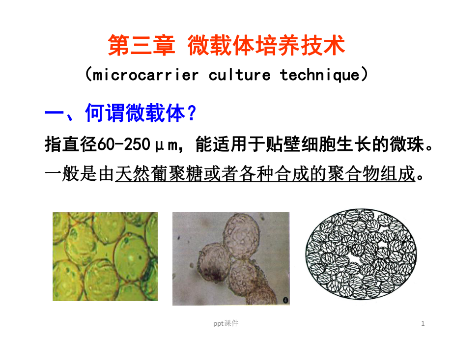 第三章-微载体培养技术-ppt课件.ppt_第1页