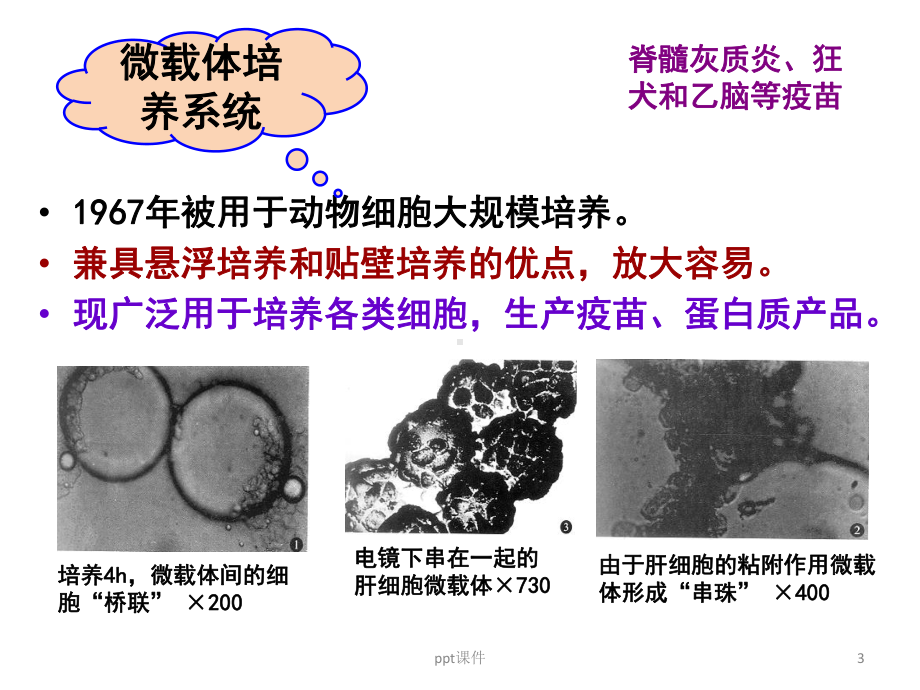 第三章-微载体培养技术-ppt课件.ppt_第3页