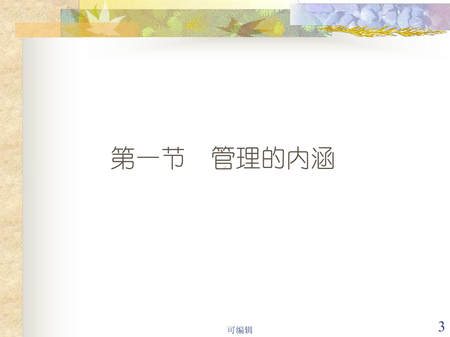 《管理学原理》王爱民ppt课件.ppt_第3页