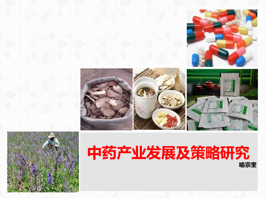 中药产业发展及策略研究-ppt课件.pptx_第1页