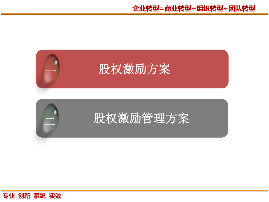 股权激励-ppt课件.ppt_第2页