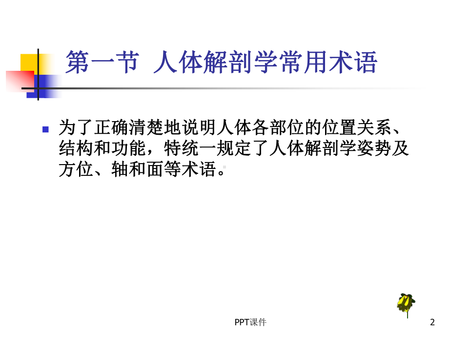 运动解剖学-ppt课件.ppt_第2页