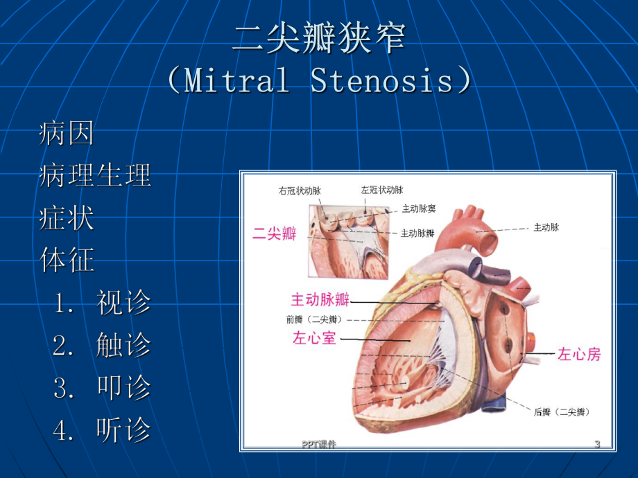 循环系统疾病常见症状和体征-ppt课件.ppt_第3页