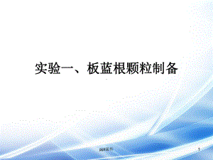 板蓝根颗粒制备-ppt课件.ppt