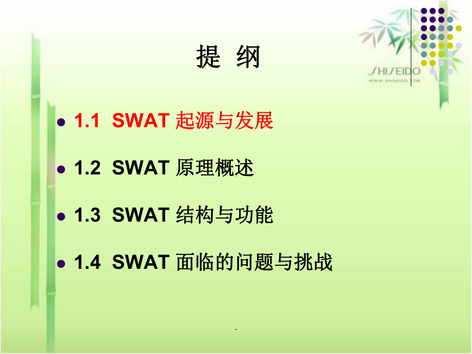 SWAT模型ppt课件.ppt_第2页