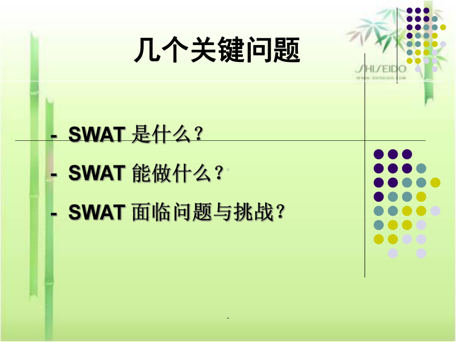 SWAT模型ppt课件.ppt_第3页