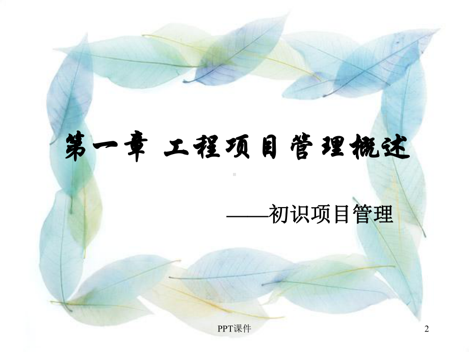 工程项目管理(第三版)-(2)-ppt课件.ppt_第2页