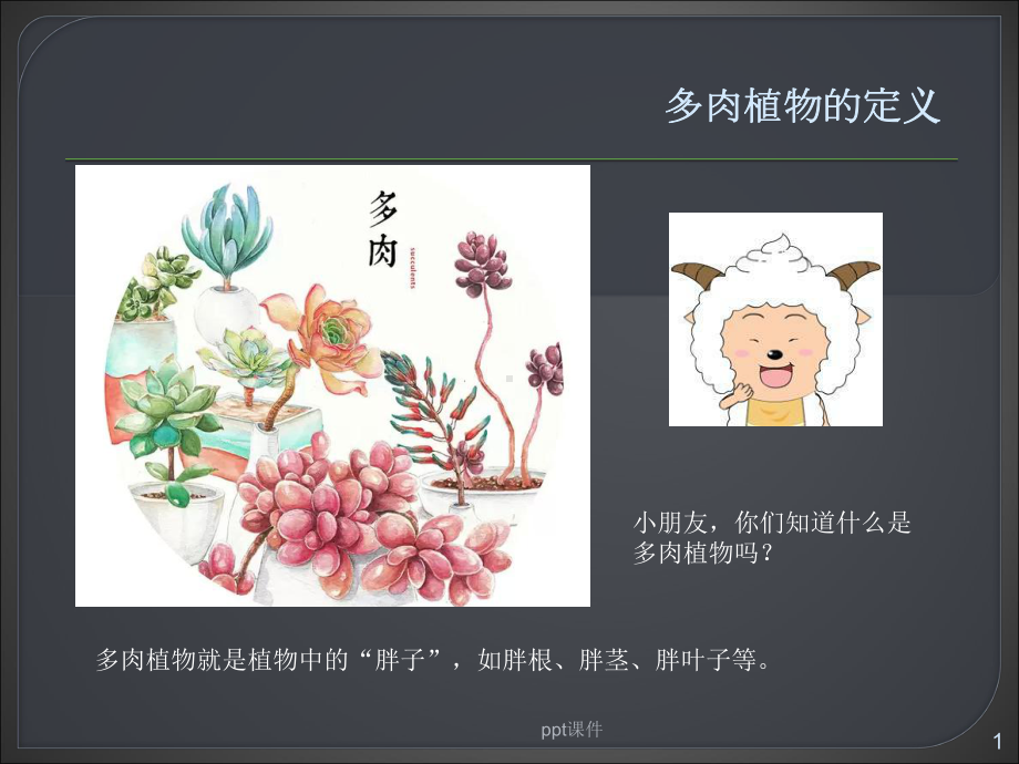 多肉植物(幼儿园)-ppt课件.ppt_第1页