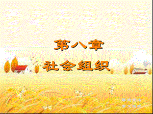 社会组织-PPT课件.ppt