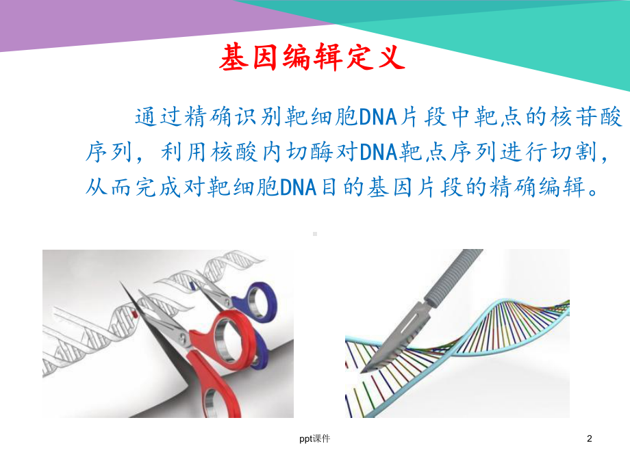 基因编辑技术-ppt课件.ppt_第2页