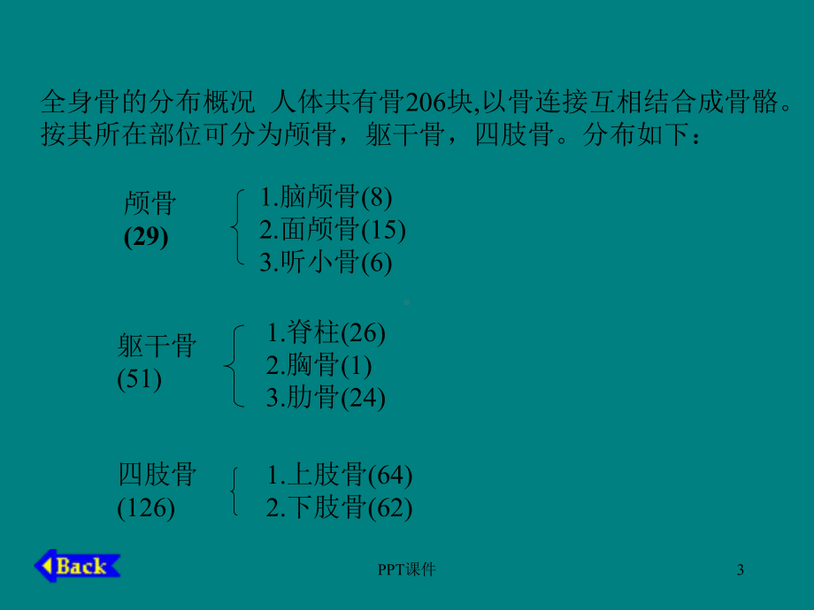 人体骨骼构成图解-ppt课件.ppt_第3页