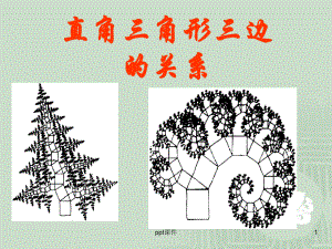 直角三角形的三边关系-ppt课件.ppt