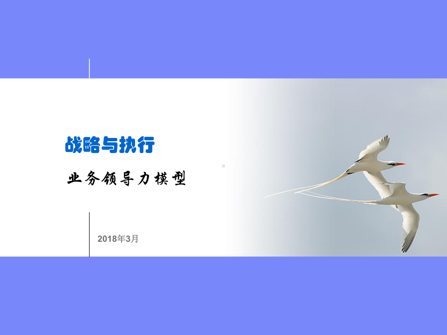 战略与执行：业务领导力模型BLM-ppt课件.ppt_第1页