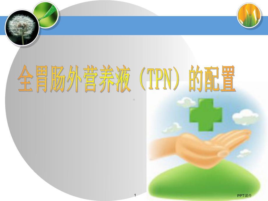 TPN的配置-ppt课件.ppt_第1页