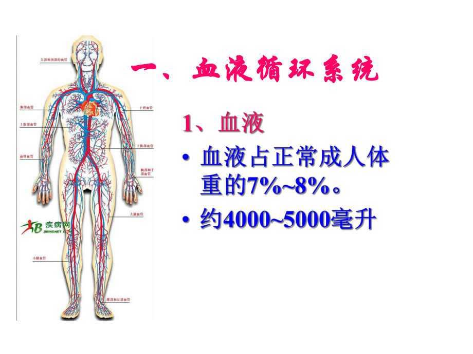 人体八大系统—循环系统-课件.ppt_第3页