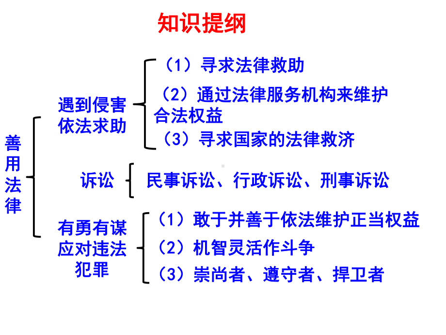 人教版道德与法治八年级上册53善用法律复习课件%28共30张%29.ppt_第2页