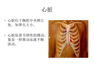 先天性心脏病介入产品课件.ppt