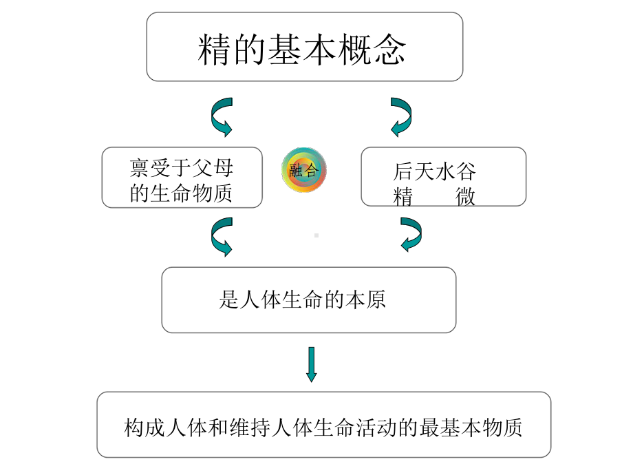 人体之精分析课件.ppt_第3页