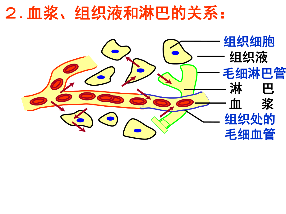 人教版必修三生物总复习课件.ppt_第3页