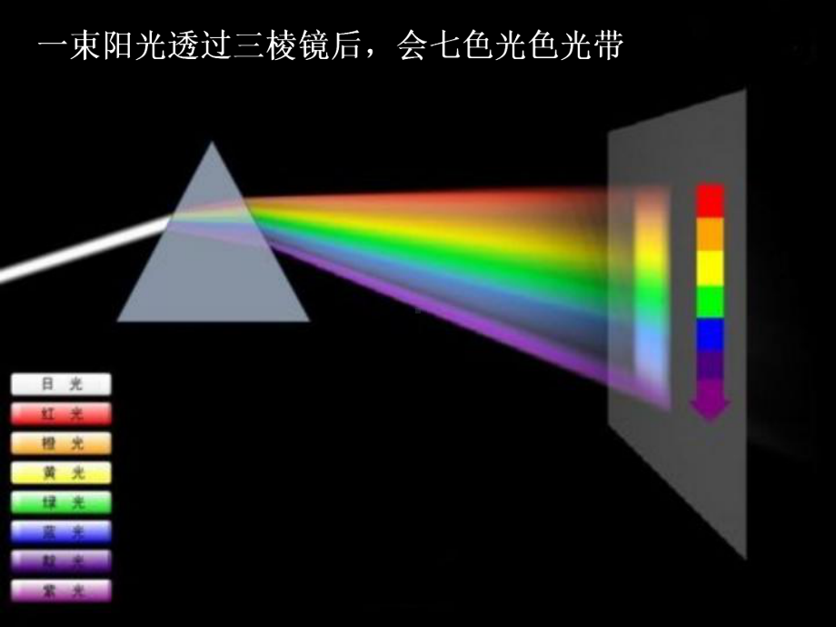 初二物理上册《学习科学探究》课件.pptx_第3页