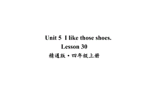 人教精通版四年级英语上Lesson-30课件.ppt--（课件中不含音视频）