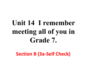 人教版九年级下册英语Unit-14-Section-B-(3a-Self-Check)课件.ppt--（课件中不含音视频）