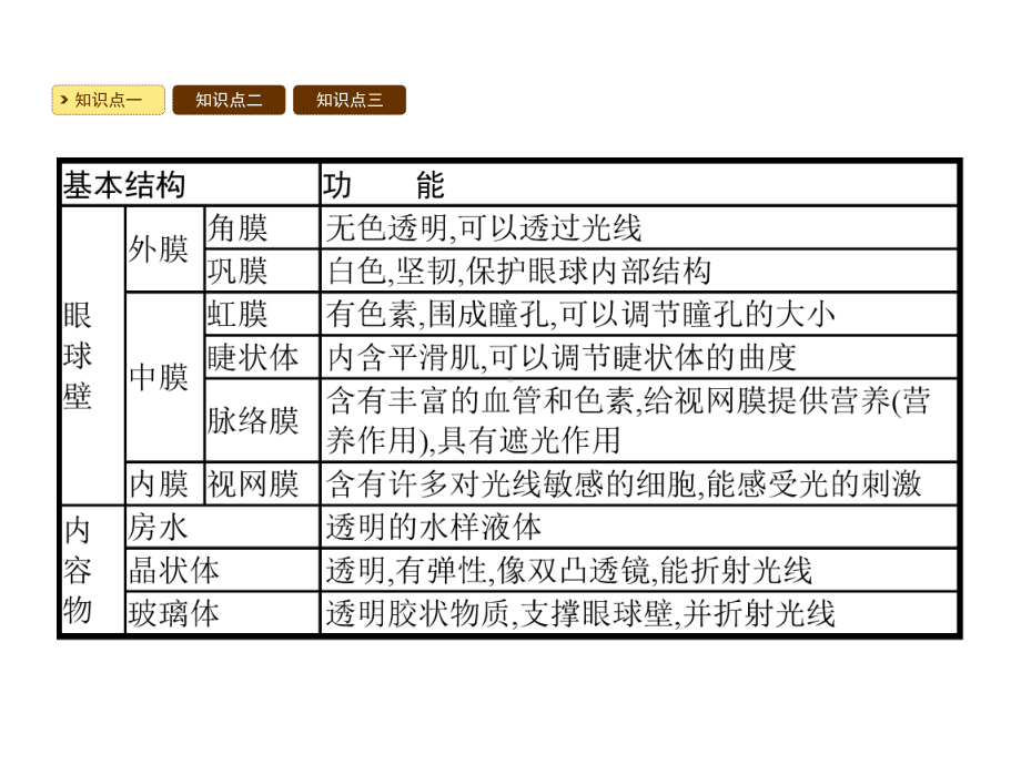 人教版七年级生物下册教学课件第六章人体生命活动的调节.pptx_第3页