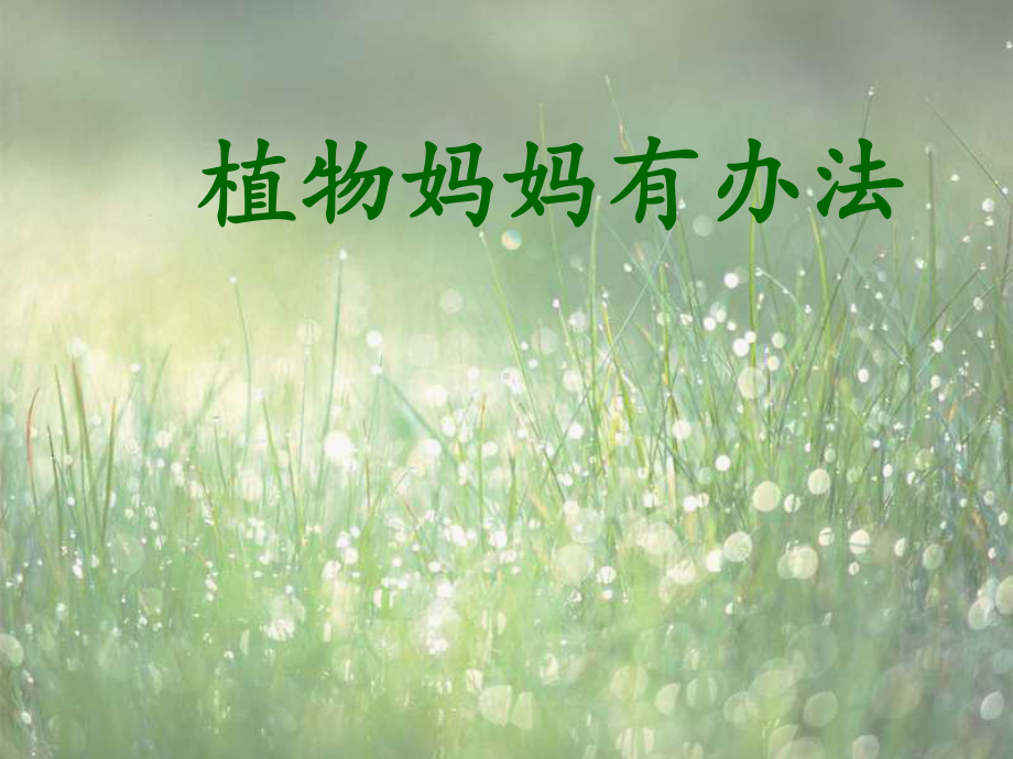 二年级上册-3植物妈妈有办法课件.ppt_第1页