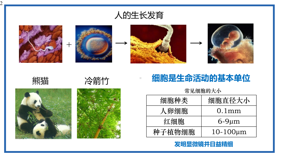 人教版高中生物必修一第一章第一节-细胞是生命活动的基本单位(共16张)课件.pptx_第2页