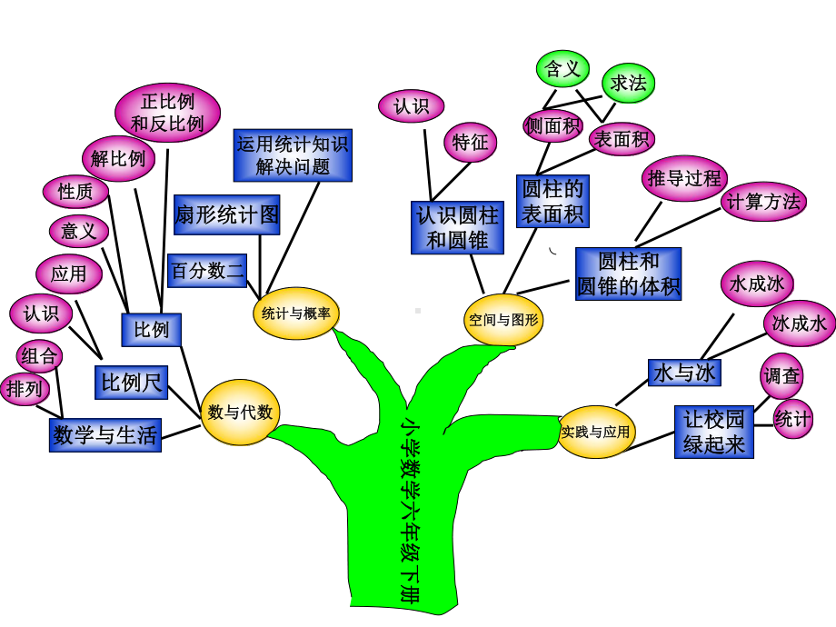 六年级数学知识树-课件.ppt_第1页