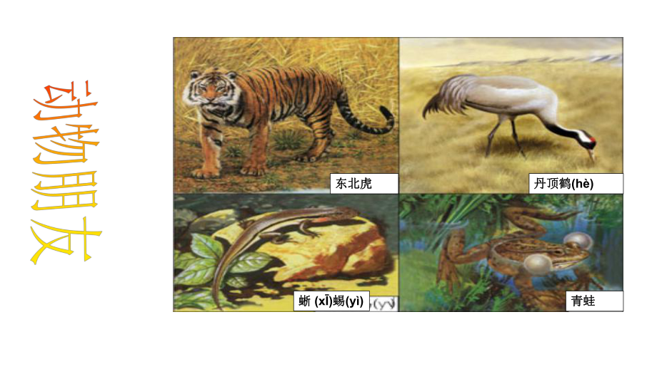 人教版小学三年级上册数学第二单元万以内数的加法和减法课件.ppt_第2页