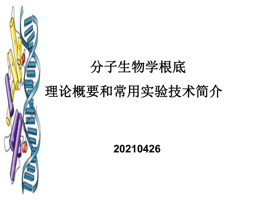 分子生物学基础理论概要和常用实验技术简介课件.ppt_第1页