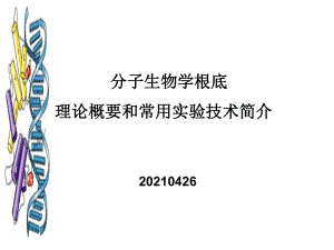 分子生物学基础理论概要和常用实验技术简介课件.ppt