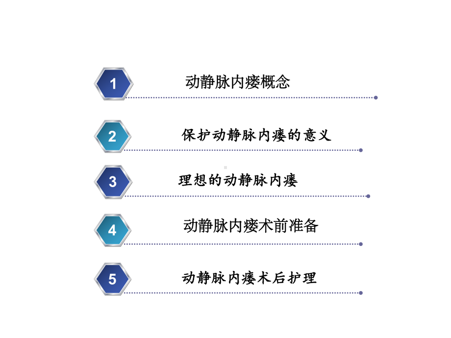 动静脉内瘘维护课件.ppt_第2页