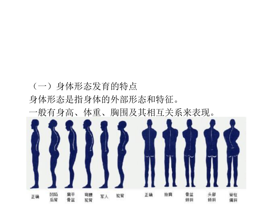 人教版体育和健康八年级全一册11《科学发展体能》课件(共28张).ppt_第3页